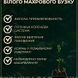 Бузок білий махровий "Принцеса Клементина" купить