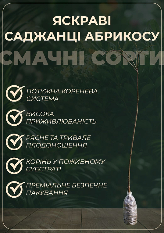 Абрикос "Фарбелі" (літній сорт, пізній термін дозрівання)