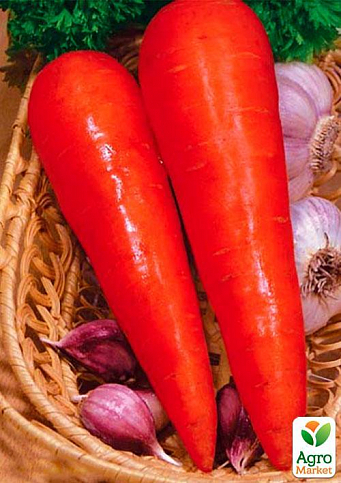 Морковь "Красная роза" (Зипер) ТМ "Весна" 5г - фото 3