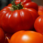 Комплект семян овощей на развес "Сочный помидор" 7уп