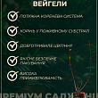 Вейгела "Wings Of Fire"  купить