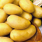Картопля "Челенджер" насіннєва пізня (1 репродукція) 1кг