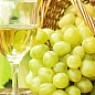 Ексклюзив! Виноград жовтувато-зелений з коричневим загаром "Челентано" (Celentano) (преміальний соковитий винний сорт) цена