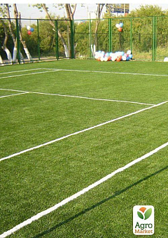 Суміш трав "Спортивно-ігровий газон" ТМ "Green Field" 10кг30