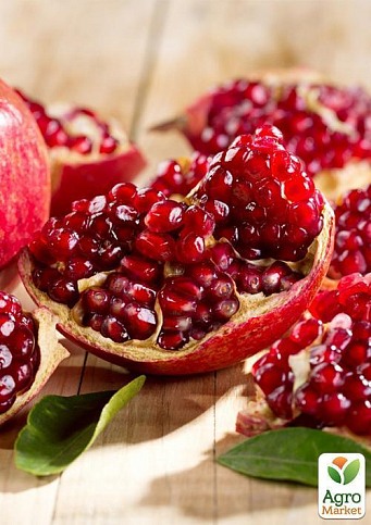 Гранат комнатно-садовый розовый "Гюлоша"  - фото 4