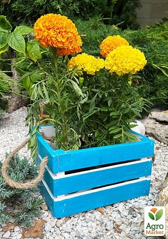 Ящик декоративный деревянный для хранения и цветов "Джусино"д. 22см, ш. 20см, в. 13см. (синий с ручками) - фото 3