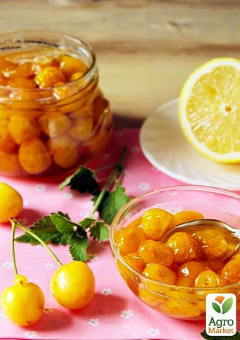Эксклюзив! Черешня глянцевого желтого цвета "Медовая сладость" (Honey sweetness) (премиальный,устойчивый к заболеваниям сорт) - фото 5