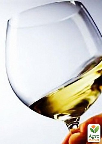 Таніни білі для розкриття смаку вина (Італія) 10 грам