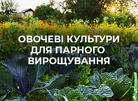 Овочеві культури для групової посадки - корисні статті про садівництво від Agro-Market