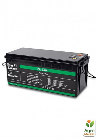 Акумуляторна батарея Full Energy FEG-24100 (LiFePo4) літій залізо-фосфатна 24В 100Аг