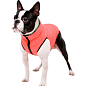 Курточка для собак AiryVest двостороння, розмір XS 22, коралово-сіра (1714)  цена