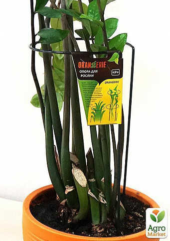 Опора для растений ТМ "ORANGERIE" тип P (зеленый цвет, высота 300 мм, кольцо 130 мм, диаметр проволки 4 мм) - фото 3
