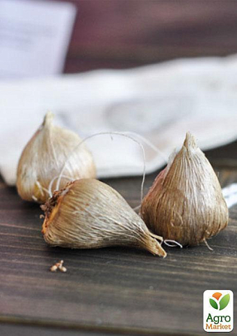 Фрезия простая "Blue" 5шт в упаковке - фото 2