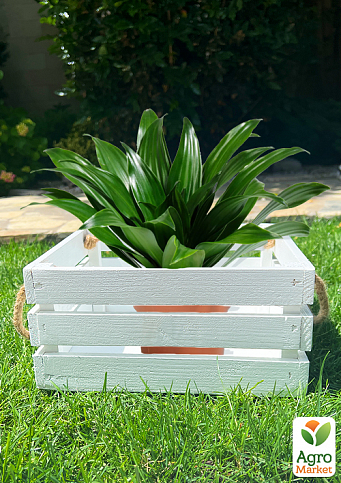 Ящик дерев'яний для зберігання декору та квітів "Прованс" довжина 25см, ширина 27см, висота 13см. (білий з ручками) - фото 4