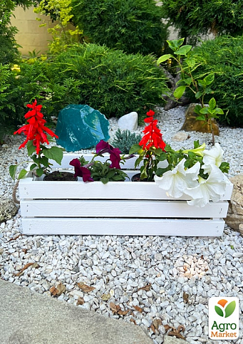 Ящик дерев'яний для зберігання декору та квітів "Франческа" довжина 44см, ширина 17см, висота 13см. (білий із ручками) - фото 2