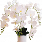 Орхидея Сатин на 5 веточек белая искусственная (О18722)