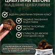 Бегония ароматная "Parfum Pastel Pink"  цена