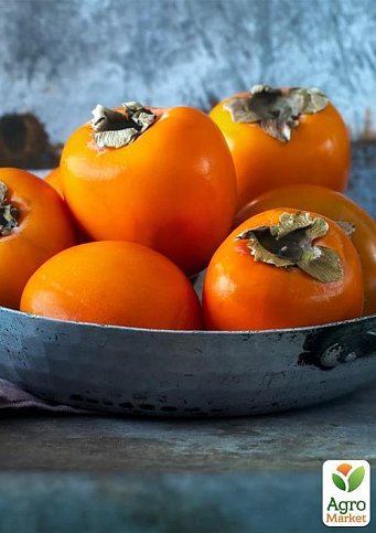 Хурма на віргінській морозостійкій підщепі  "Мідер" вищий сорт! - фото 8