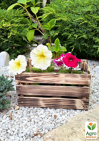 Ящик декоративный деревянный для хранения и цветов "Бланш" д. 25см, ш. 17см, в. 13см. (обожжённый) - фото 2