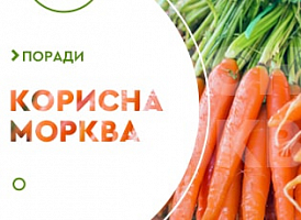 Корисні властивості моркви - корисні статті про садівництво від Agro-Market