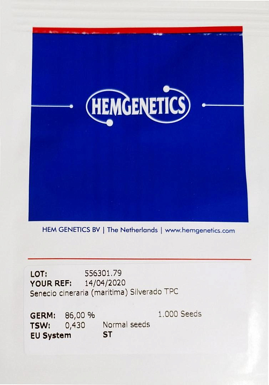 Цинерария "Сильверадо" ТМ "Hem-Genetics" 1000шт