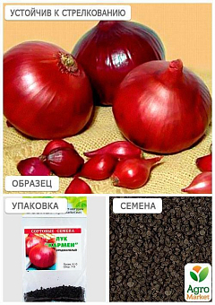 Лук "Кармен" (Зипер) ТМ "Весна" 3г19