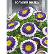 Астра "Голубой месяц" ТМ "SeedEra" 0.25г