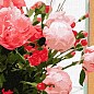 Картина за номерами - Улюблені рожеві півонії Ідейка KHO3201 купить