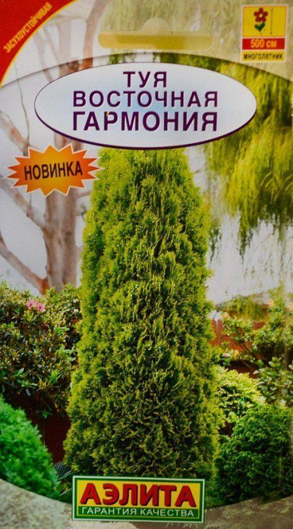 Туя восточная "Гармония" ТМ "Аэлита" 0.1г