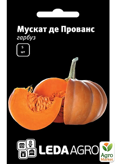 Тыква "Мускат де Прованс" ТМ "Leda Agro" 5шт1