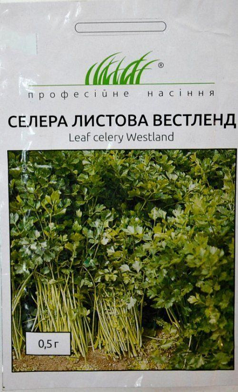 Сельдерей листовой "Вестленд" ТМ "Hem Zaden" 0.5г