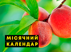 Місячний календар на липень 2022 - корисні статті про садівництво від Agro-Market