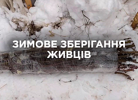Зимове зберігання живців: методи підготовки, умови та корисні поради | Agro-market