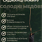 Инжир "Финиковый" (ремонтантный, крупноплодный, транспортабельный сорт) купить