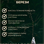 Береза карликова "Golden treasure" (Золотий скарб) вазон P9