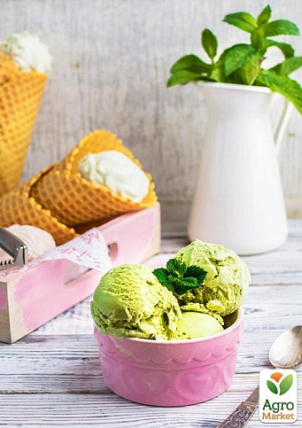 Эксклюзив! Фисташка "Амелия" (Amelia) (высокоурожайный, морозостойкий сорт) - фото 7