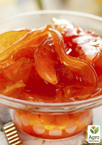 Айва "Студентка" (зимний сорт, поздний срок созревания) - фото 4