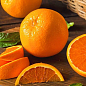 Апельсин "Пупковий"