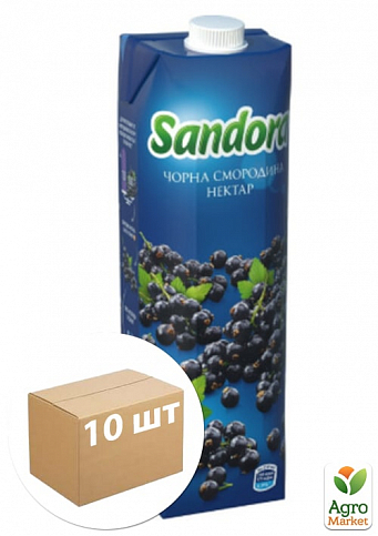 Нектар чорної смородини ТМ "Sandora" 0,95 л упаковка 10шт