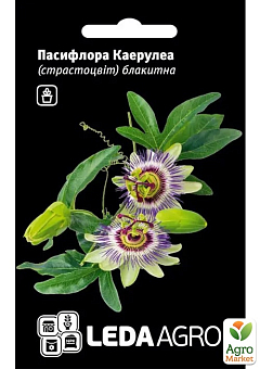 Пасифлора "Каерулеа"  ТМ "Leda Agro" 0,05г1