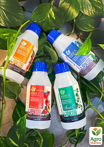 Липкий укорінювач нового покоління LIPKOR "Антистрес" (Ліпкор) ТМ "AGRO-X" 300мл - фото 3