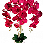 Орхідея королівська винна штучна 3 гілочки (ОВ1825)