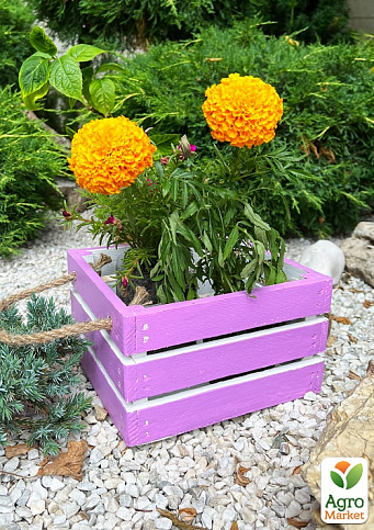 Ящик декоративний дерев'яний для зберігання та квітів "Джусіно" д. 22см, ш. 20см, ст. 13см. (ліловий з ручками) - фото 3