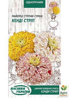 Цинния "Кенди стрип" ТМ "Семена Украины" 0.3г1