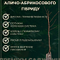 Алыча-Абрикосовый гибрид "Черрикос" (с легким ароматом клубники)