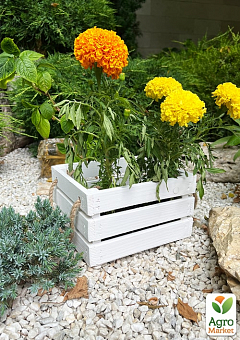 Ящик декоративний дерев'яний для зберігання та квітів "Джусіно" довжина 22см, ширина 20см, висота 13см. (білий із ручками)2