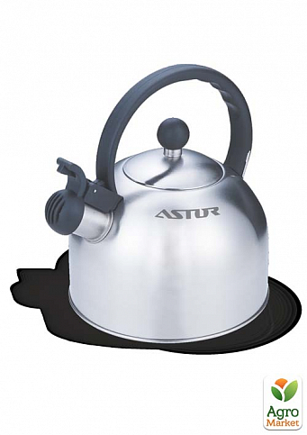 Чайник ASTOR GK 2025