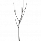 Ексклюзив! Дерево-сад Яблуня "Голден Спур + Кариота 7 + Семеренко"