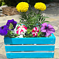 Ящик дерев'яний для зберігання декору та квітів "Прованс" довжина 25см, ширина 27см, висота 13см. (синій) цена