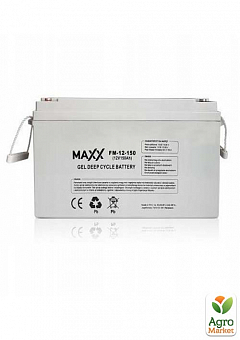 Аккумулятор гелевый MAXX FM 12-FM-150 12V 150Ah2